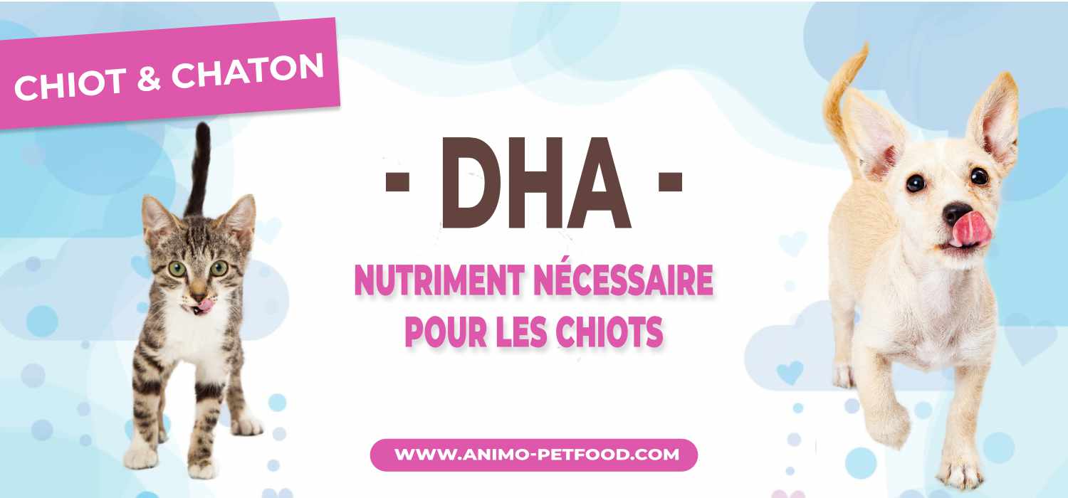 DHA pour chiots et chatons